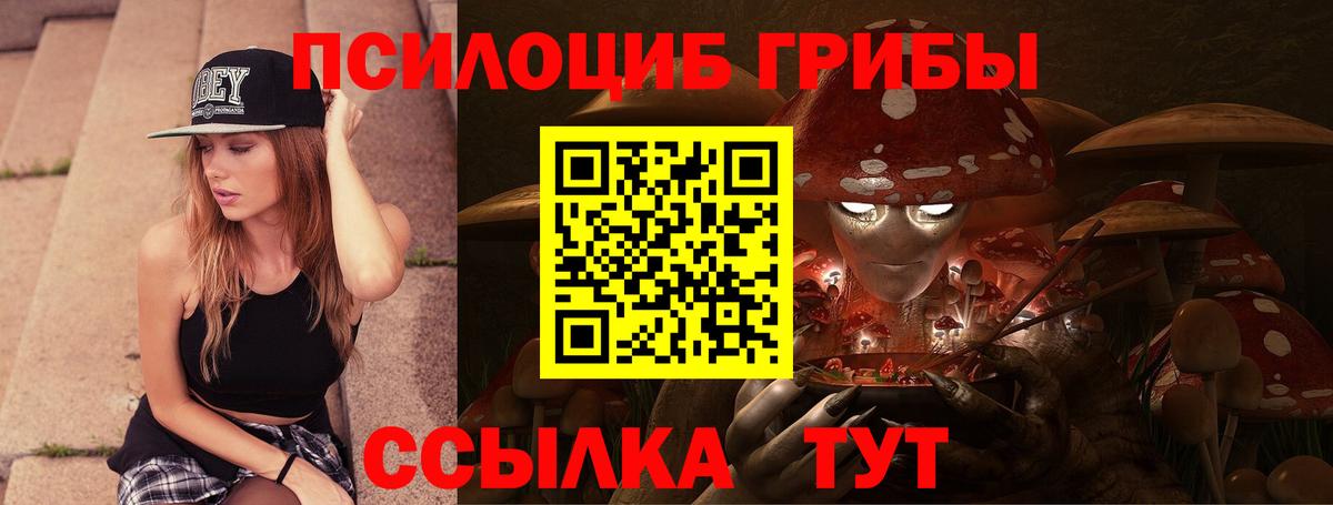 Псилоцибиновые грибы мицелий Урай